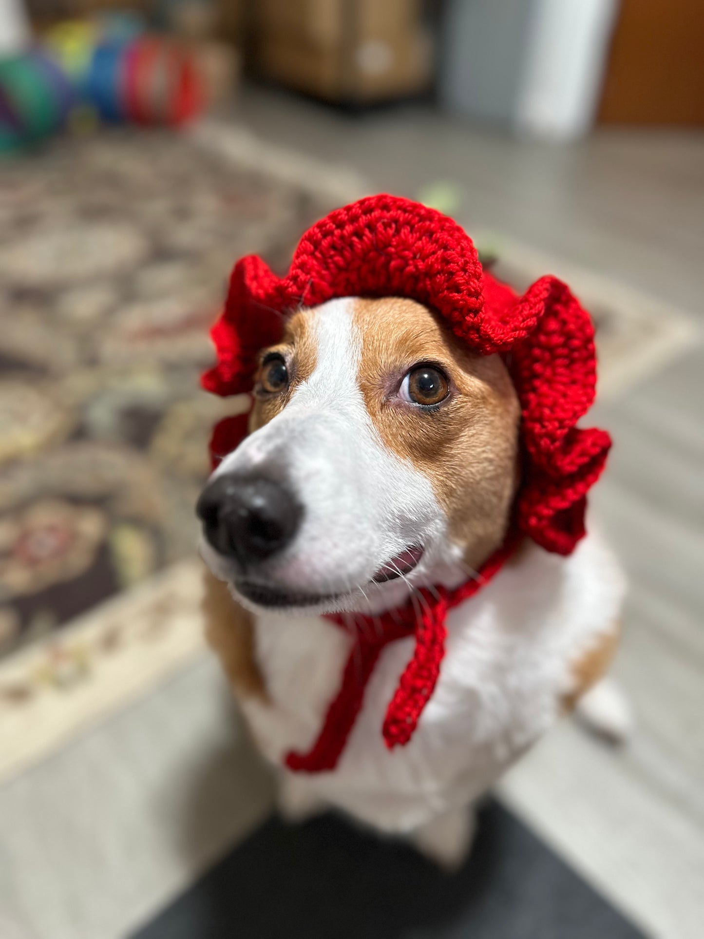 Strawberry Pupper Bucket Beanie