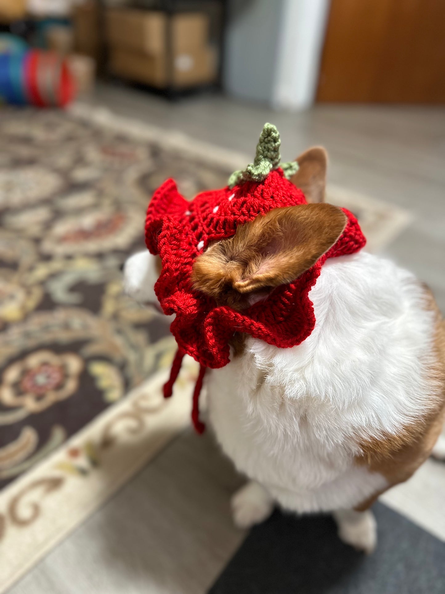 Strawberry Pupper Bucket Beanie