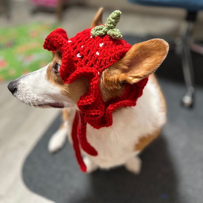 Strawberry Pupper Bucket Beanie