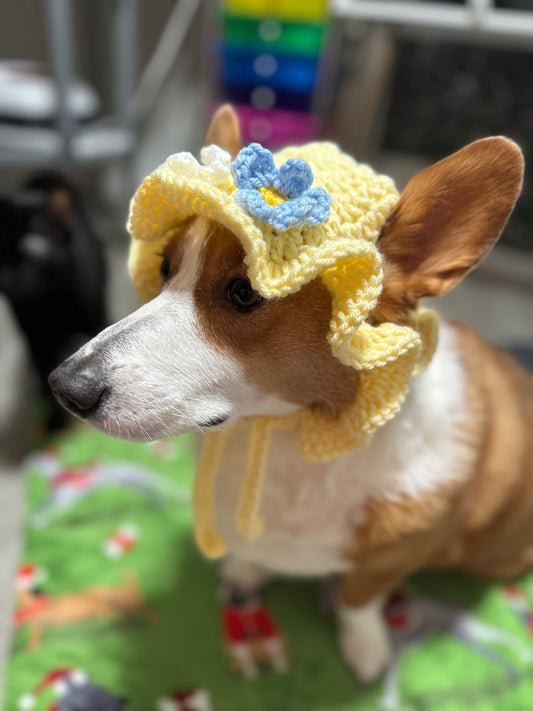 Spring Bucket Pupper Beanie
