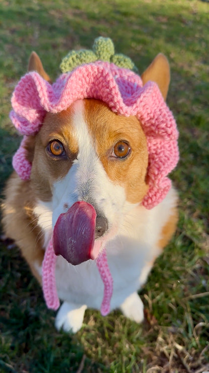 Pink Strawberry Bucket Pet Beanie