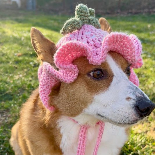 Pink Strawberry Bucket Pet Beanie