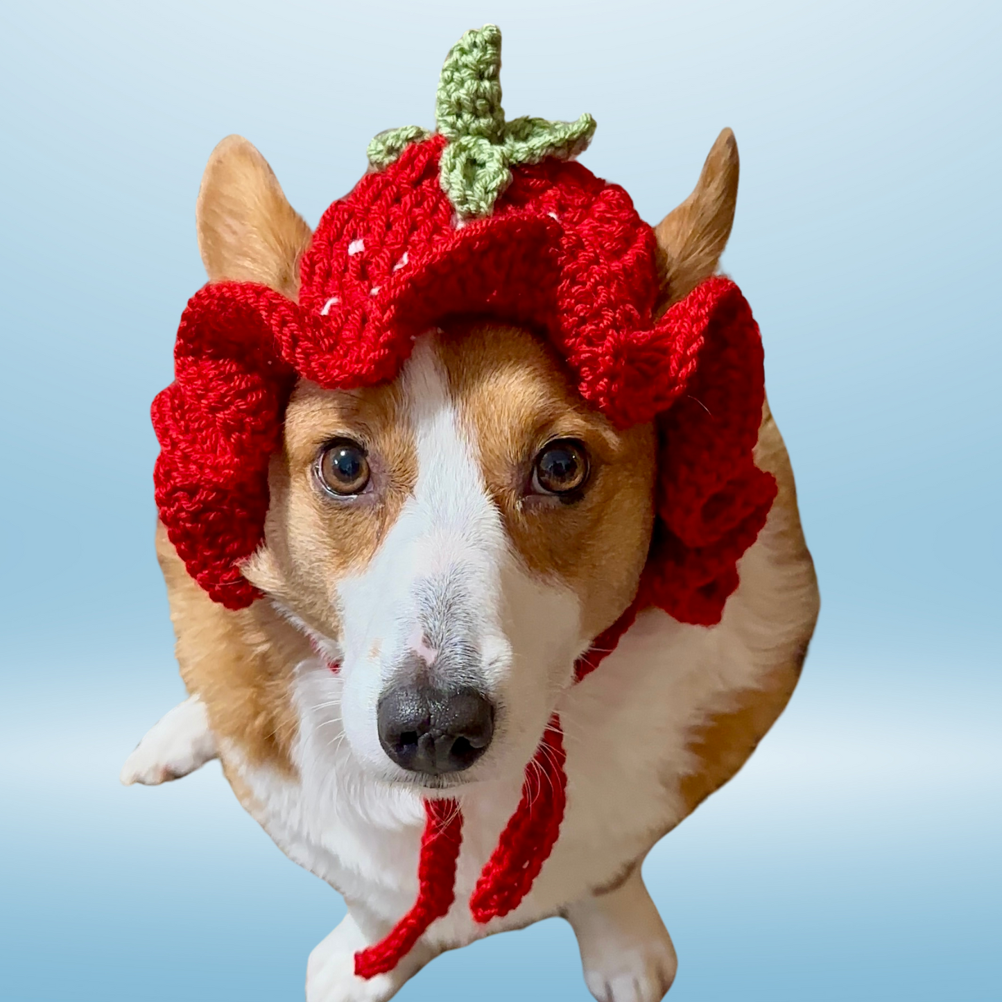 Strawberry Pupper Bucket Beanie