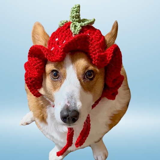 Strawberry Pupper Bucket Beanie